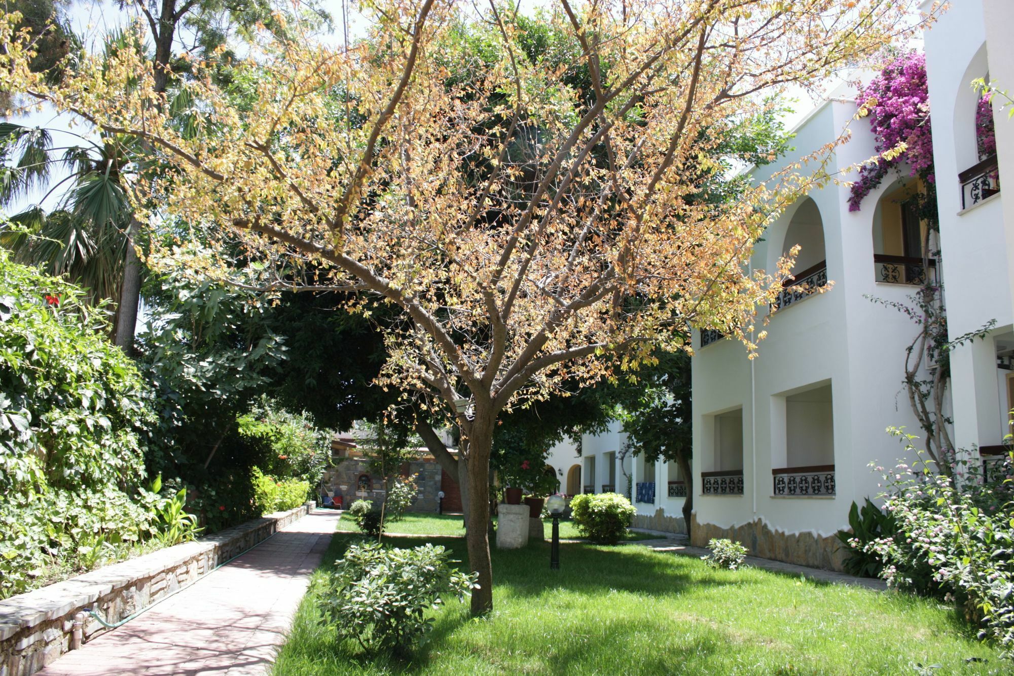 Toloman Hotel Bitez Beach Kültér fotó
